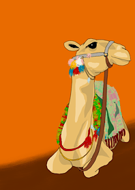 Cute camel