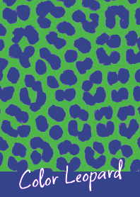 COLOR LEOPARD THEME -59