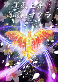 運気を上げる✨サクラ鳳凰