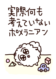 実際何も考えていないポメラニアン