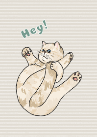hey ! cats / cream
