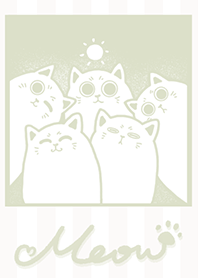 Meow J-gray green (Be1)