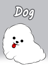 かわいい白い子犬
