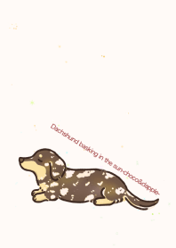 Dachshund basking in the sun-chocodapple