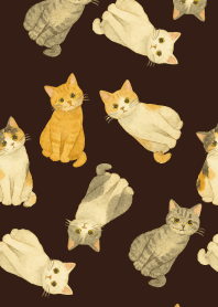 A suspicious cat on brown