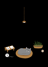 日日是好日˙灰貓