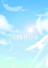 Sky & Bird!