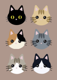 simple/ full of cat /mocha