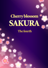 Cherry blossom SAKURA The fourth