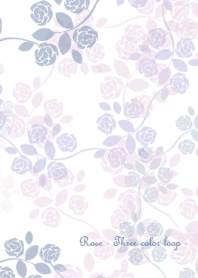 Rose - Three color loop -