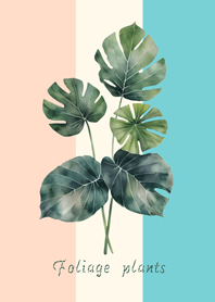 พืชใบที่สง่างาม(ซอฟท์สามสี)