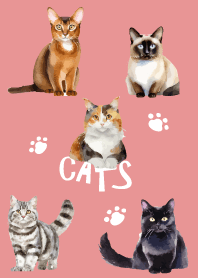 unique cats on light pink