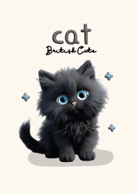 Cat Black Cute : British longhair :D