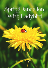 SpringDandelion With Ladybird