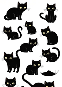 Super cute black cat fIflO