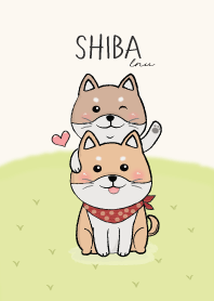 Shiba lnu dog cute
