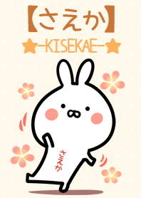 ☆【さえか】のウサギ着せかえ☆