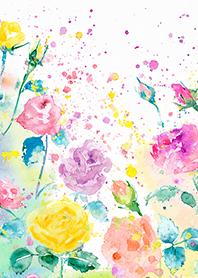 Beautiful rose flower(R4711)