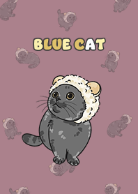 bluecat2 / dark rose