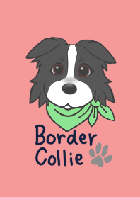 BorderCollie Illustration Theme
