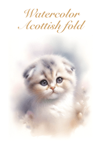 水彩蘇格蘭折耳貓