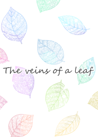 The veins of a leaf