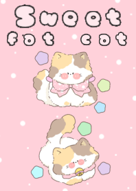Sweet fat cat