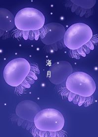Jellyfish_Black