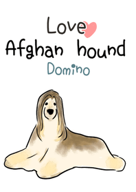 Cream Afghan hound dog domino!