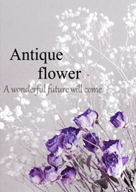 World of Antique dried flower.12.