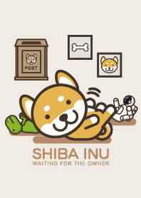 Shiba inu(Waiting for the owner)