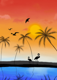 the sunset