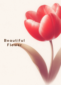 Beautiful Flower-LOVE TULIP 5