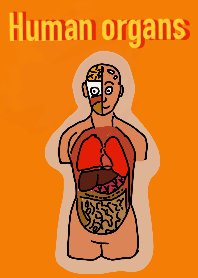 collect of human organs