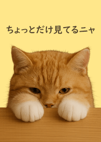 偷偷看一下喵～