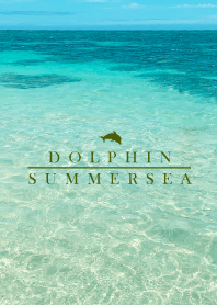 SUMMER SEA -DOLPHIN- 14