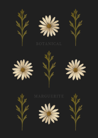 BOTANICAL - MARGUERITE / BLACK