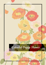 Colorful Poppy Flower