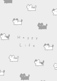 .แมว. gray white