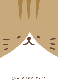ねこ顔(茶白猫)