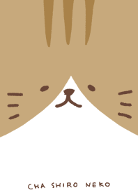Cat face/red tabby and white cat
