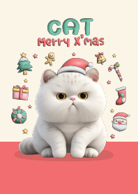 Cat Cute : Merry Christmas!