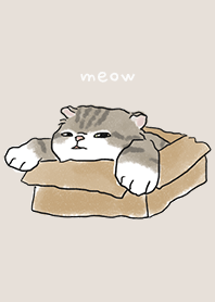 neko drawing1 / dark beige