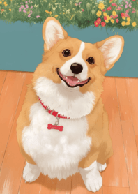 คอร์กี้ น่ารัก อ้วนกลม_2