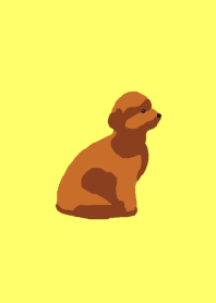theme of a dog (toy poodle)