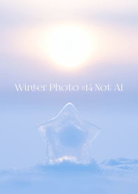 Winter Photo #14-12 Not AI