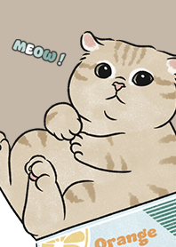 neko single19 / dark tan