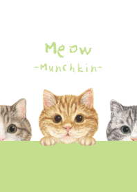 Meow - Munchkin - WHITE/YG