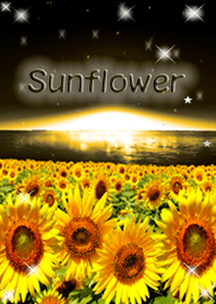 sunflower in the sky!8