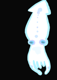 Squid white
